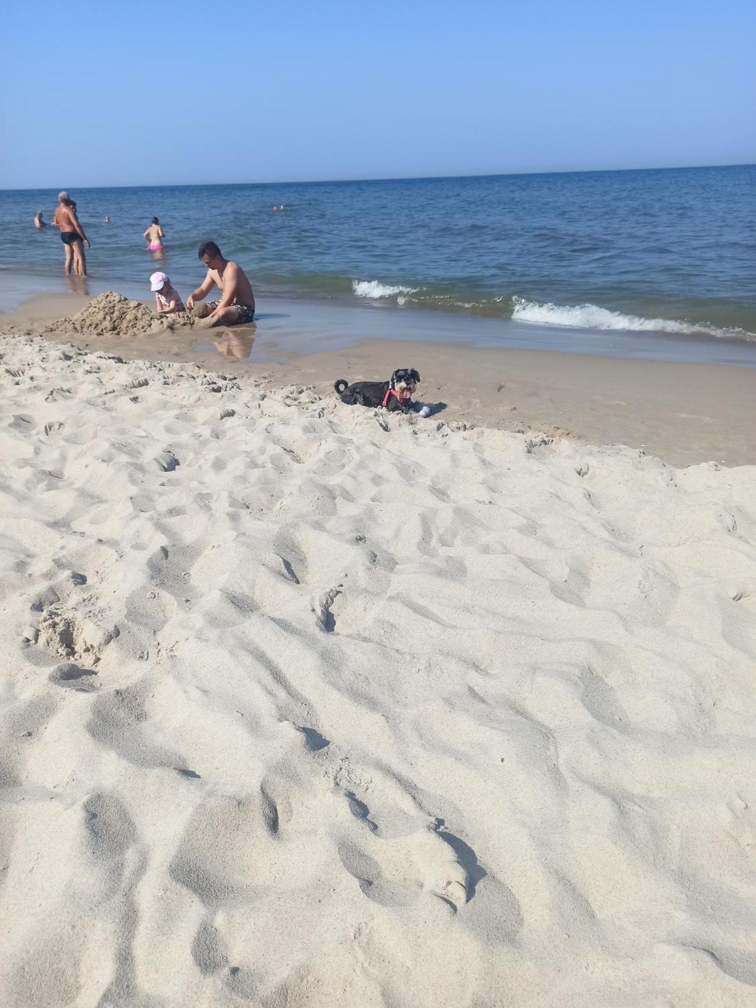 Komfort Alexa Jastrzębia Góra Exteriér fotografie